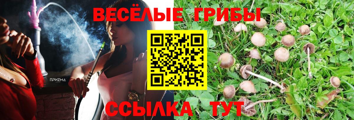 Ивантеевка  Галлюциногенные грибы Psilocybe  Вход с VPN 